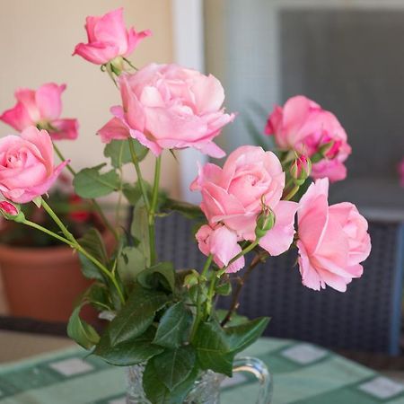 Apartment Timea Dubrovnik Kültér fotó